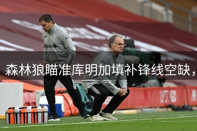 森林狼瞄准库明加填补锋线空缺，中产特例成关键筹码